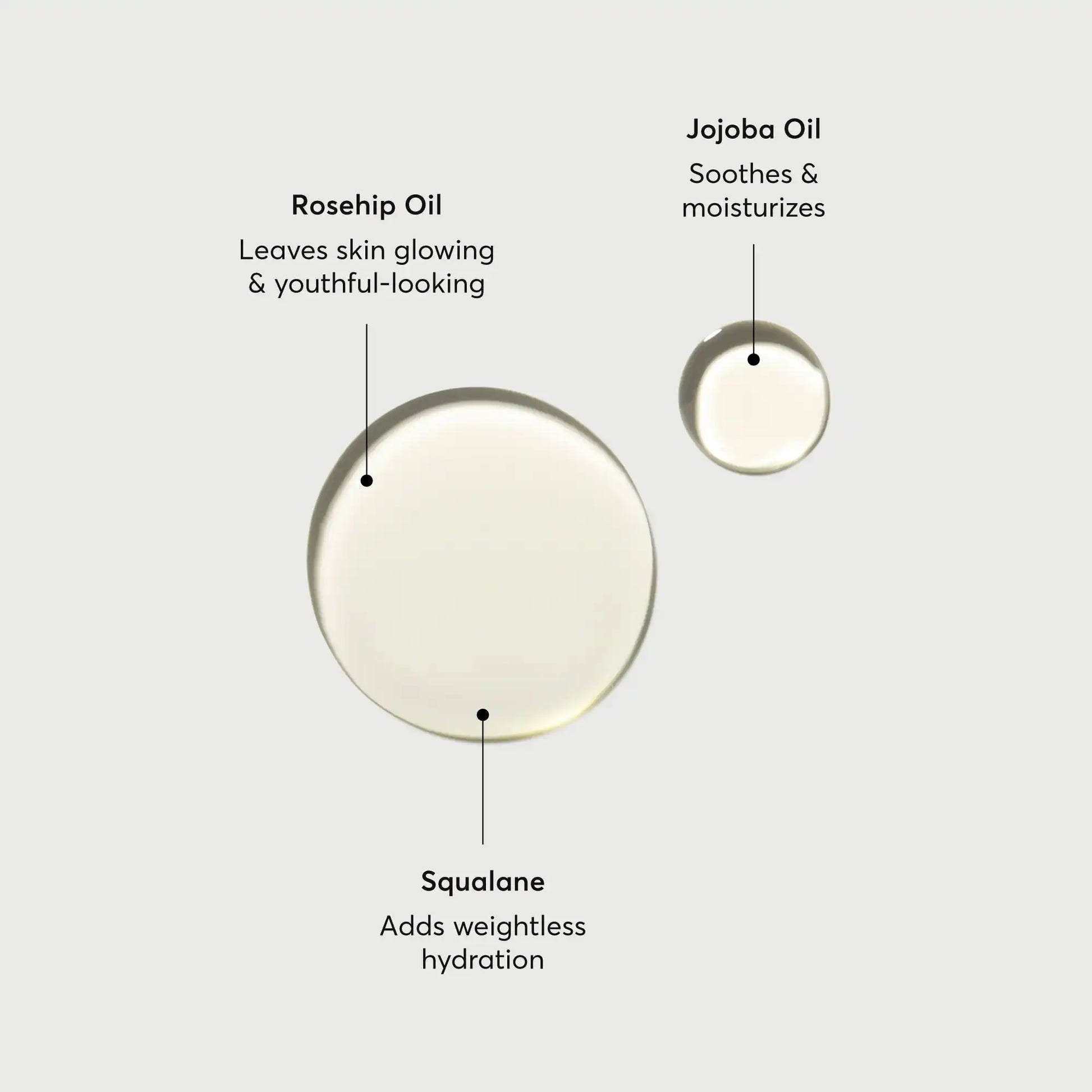 the-glow-getter-body-oil-a0 NATR-10115-Alt-Images-The-Glow-Getter-Body-Oil-01.webp