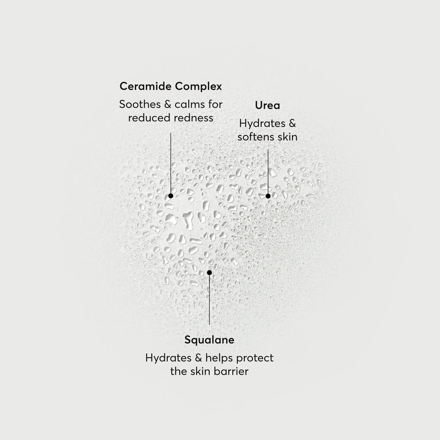 barrier-bounce-bi-phase-mist-y1 NATR-10167-Alt-Images-Barrier-Bounce-Bi-Phase-Toner-Mist_01.webp
