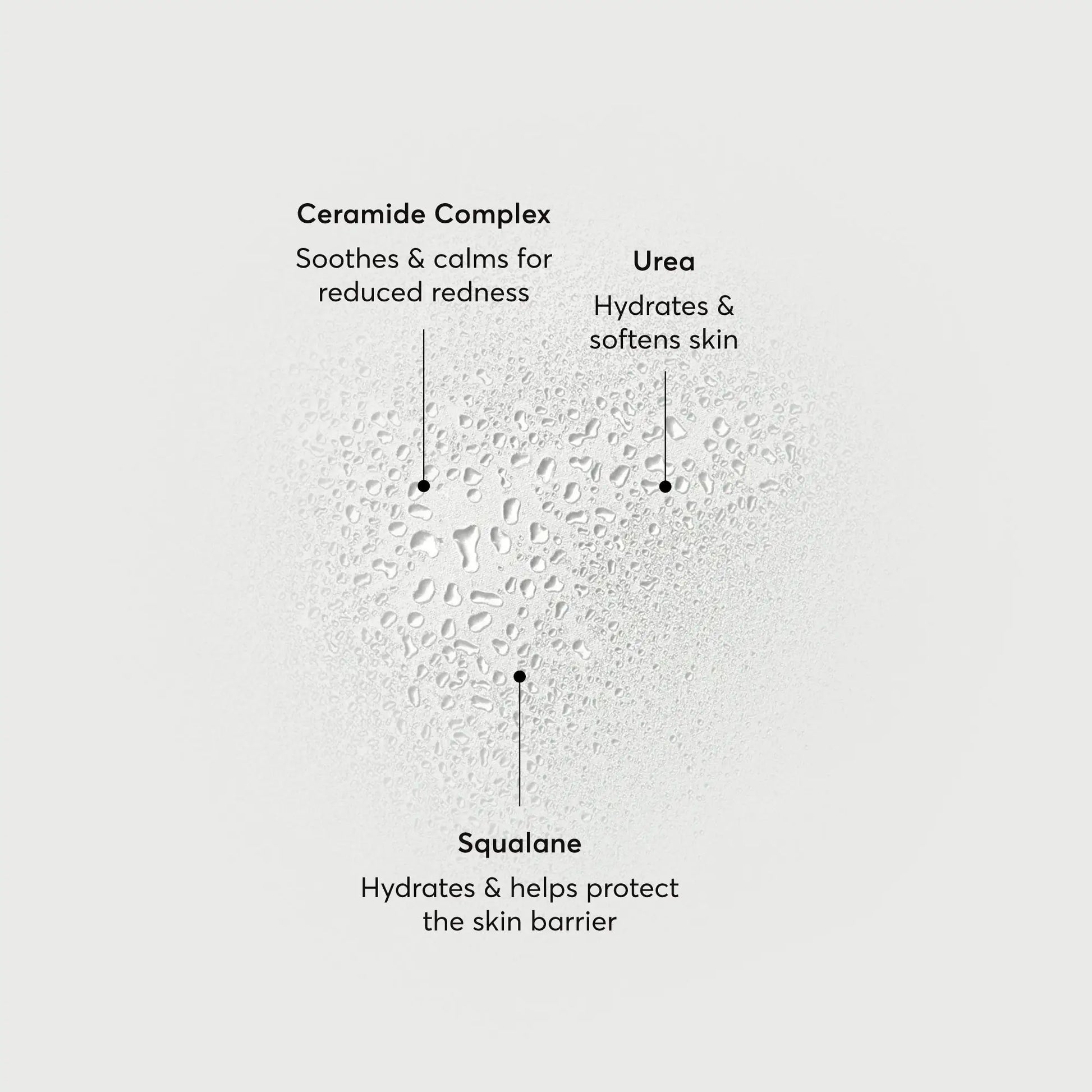 barrier-bounce-bi-phase-mist-y1 NATR-10167-Alt-Images-Barrier-Bounce-Bi-Phase-Toner-Mist_01.webp