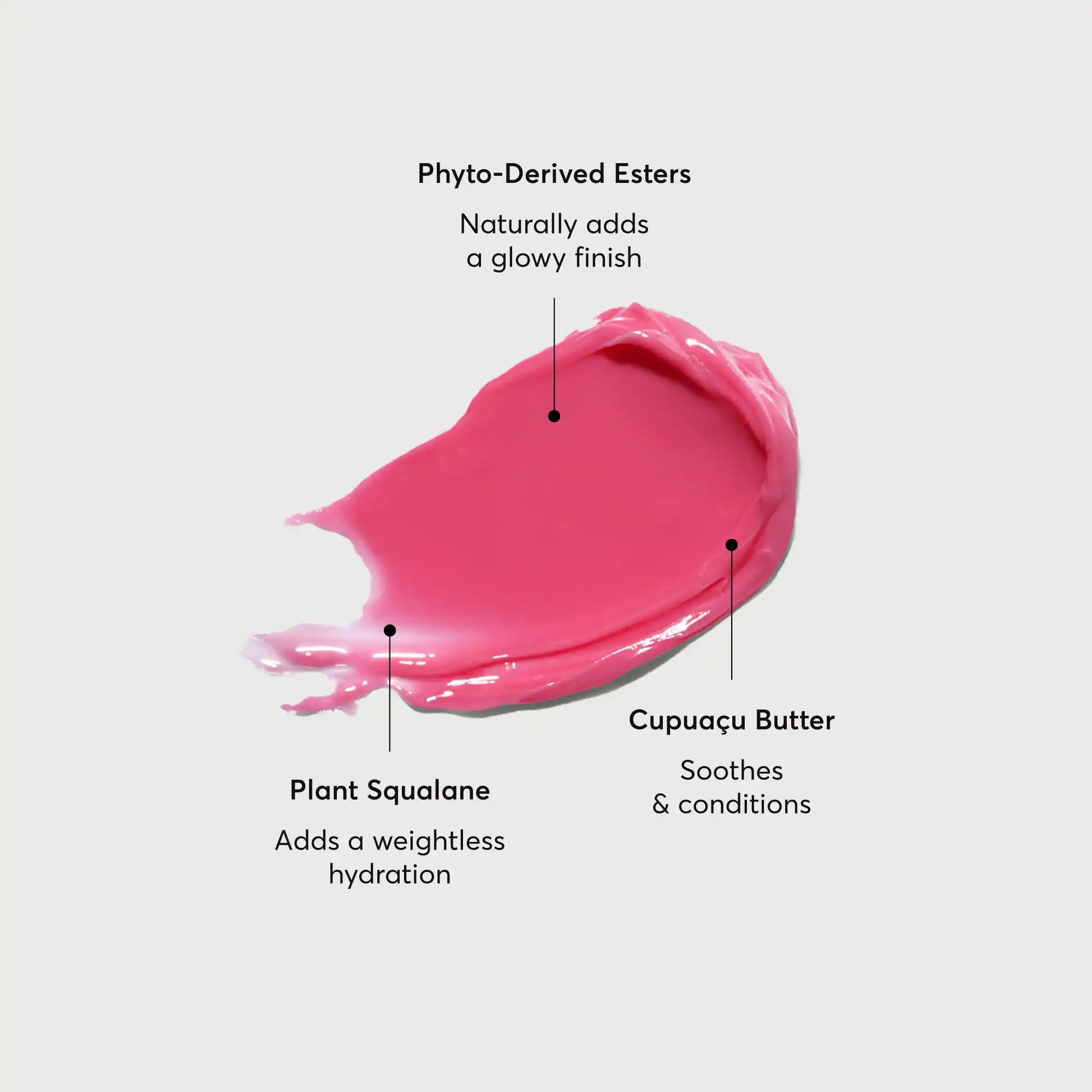 phyto-glow-lip-balm-camellia-f1 NATR-60075-Alt-Images-Phyto-Glow-Lip-Balm-Camellia-01.webp